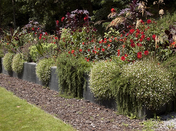 Introducir el rojo en el jardín: el más difícil todavía